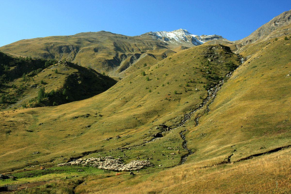  - © Parc national des Ecrins